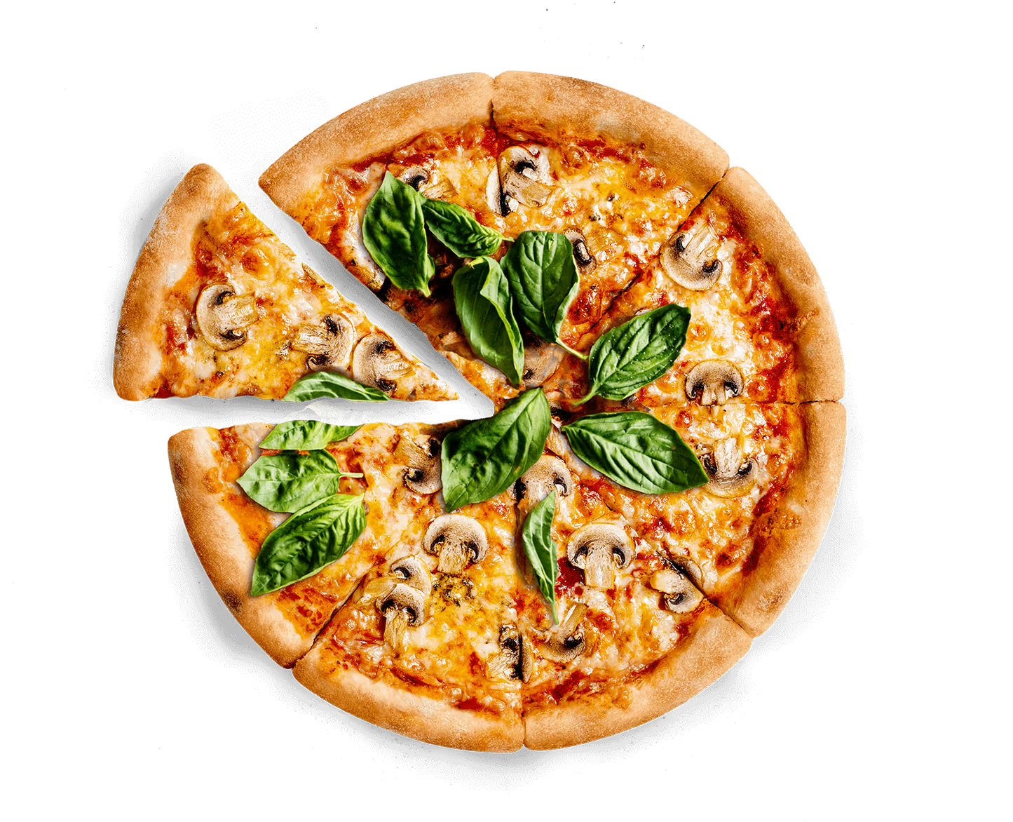Cozze® 17″ Rotate Gas Pizza Oven Black Edition