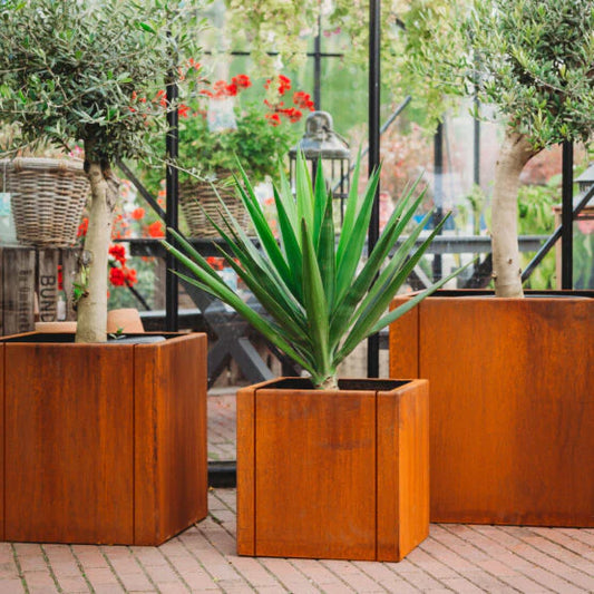 GrillSymbol Clara Corten Steel Planter Set – M, L & XL for Outdoor Spaces