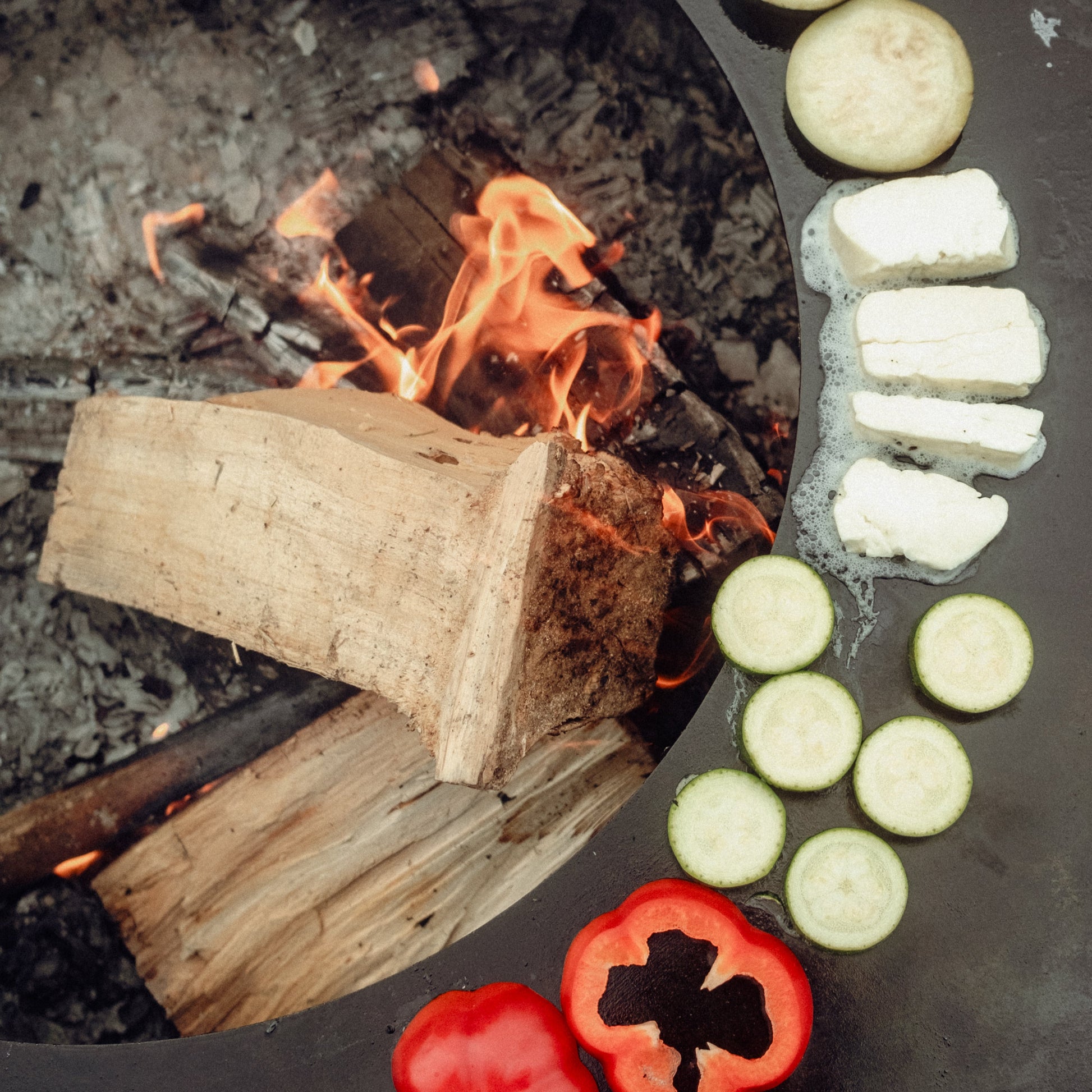 Fire pit with wood logs, vegetables, and tofu on a dark surface
