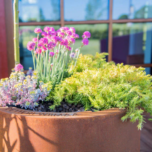 Grillsymbol Pot with colourful flowers and greenery in a rust-coloured container.